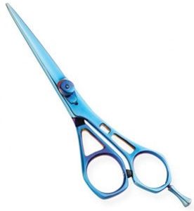 PROFESSIONAL RAZOR EDGES SCISSORS